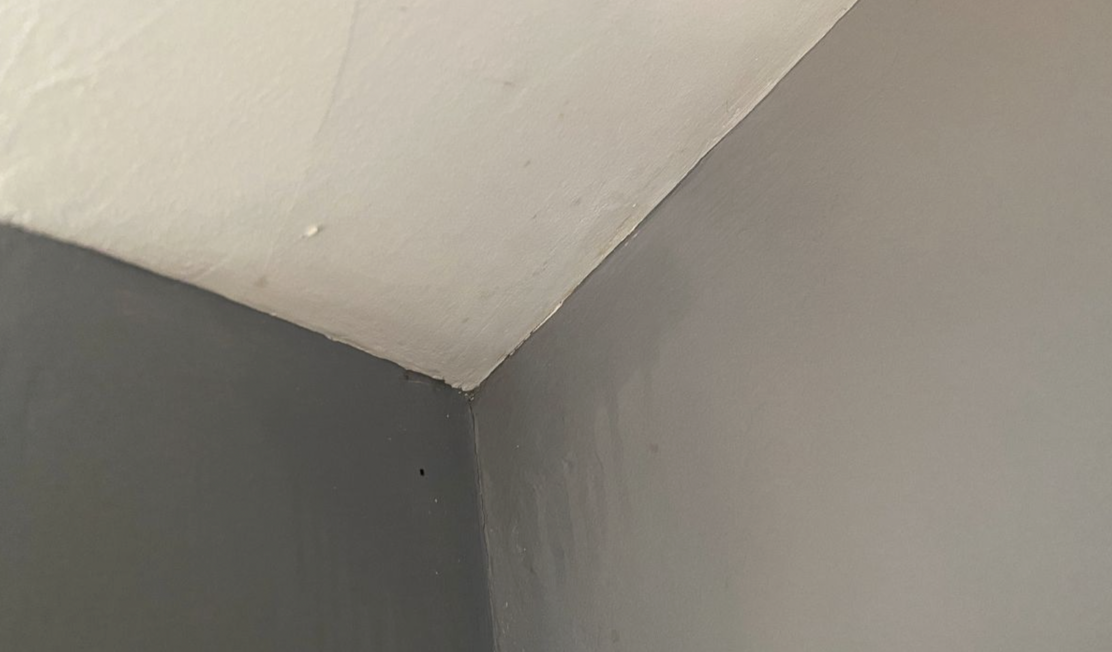 screenshot 2026 01 11 at 194104