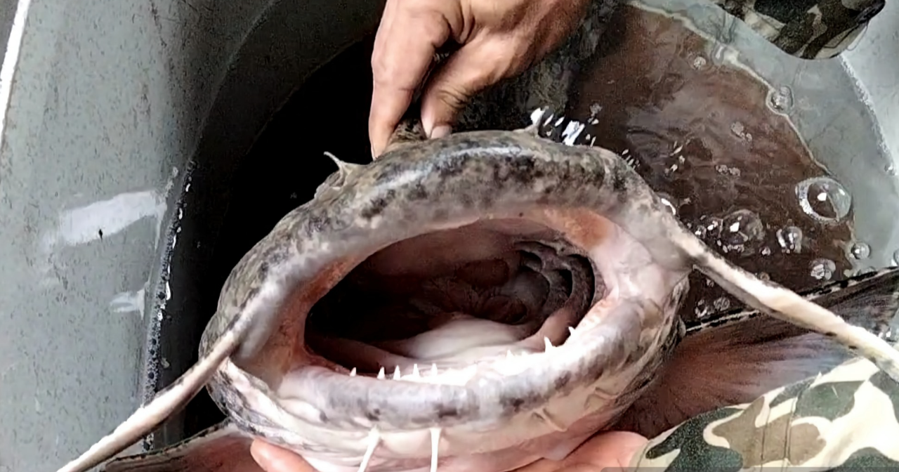 anh chup man hinh 2026 01 13 luc 104320