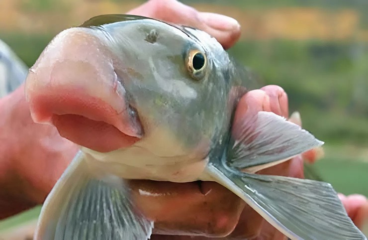 11 1758769811 646 width740height482