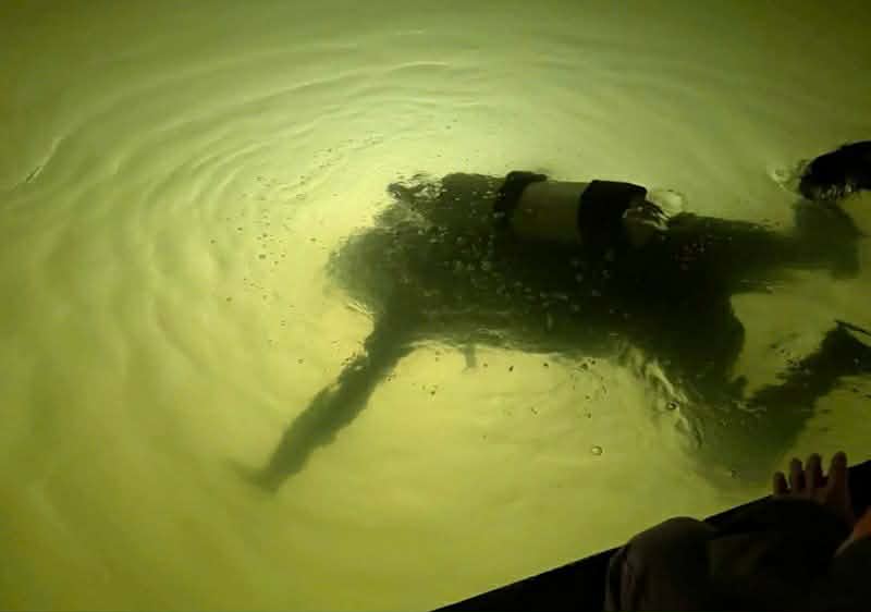 61608817315725014673456757878591080630552162n