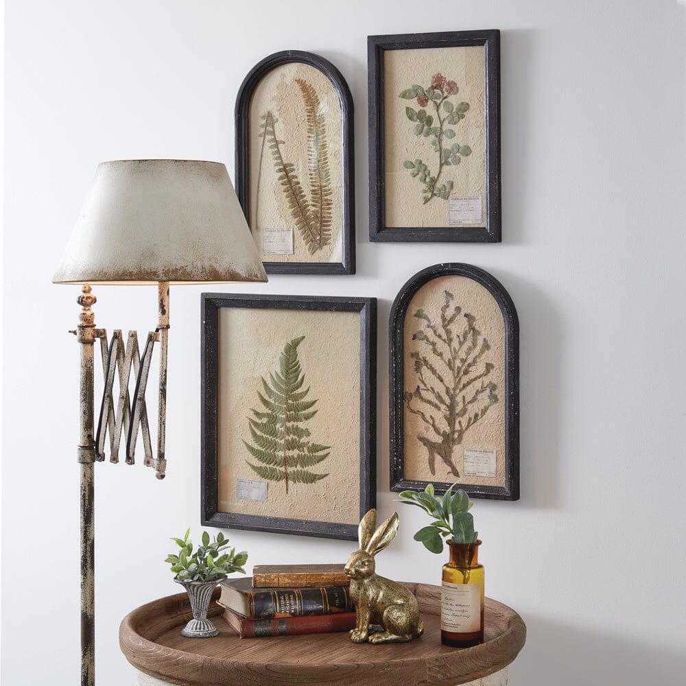 pressed botanical wall decor boston fern 31080x
