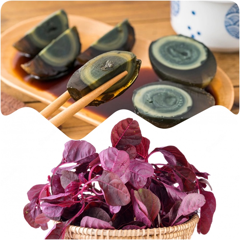 rau den trung bac thao 3