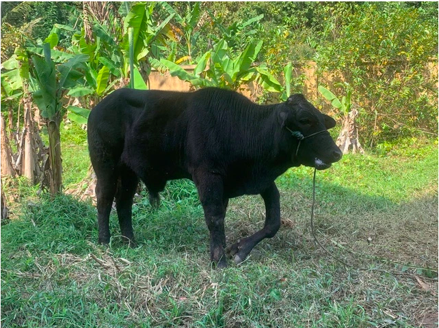 screen shot 2026 01 25 at 103248 pm