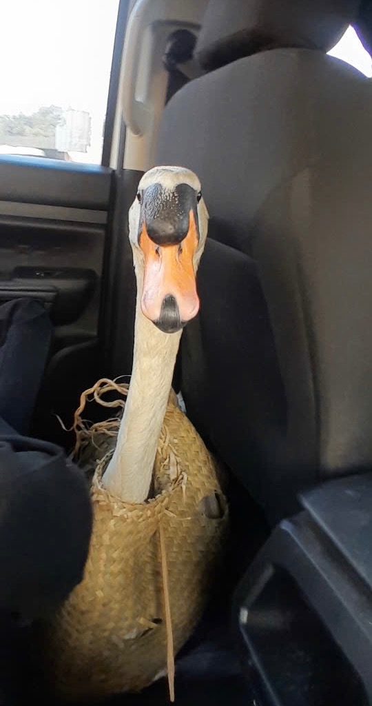 6225861839072795685042527168497202469393806n