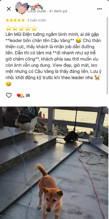 screen shot 2026 01 27 at 93600 pm