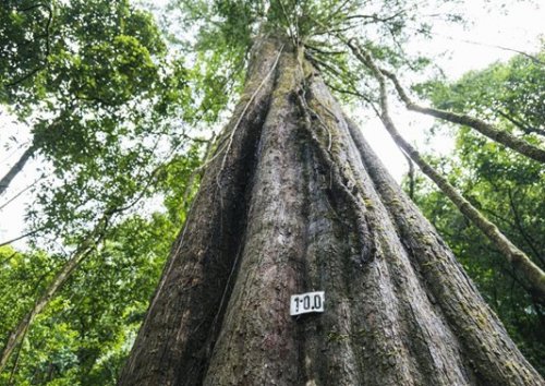 fa18a67c6ac1f68dfb81e58ae177b55b