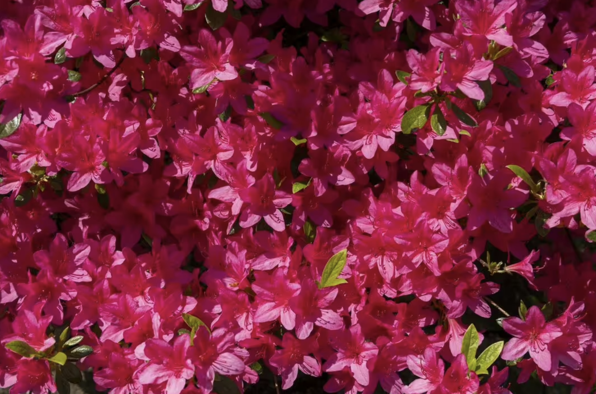 screenshot 2026 02 06 at 211027