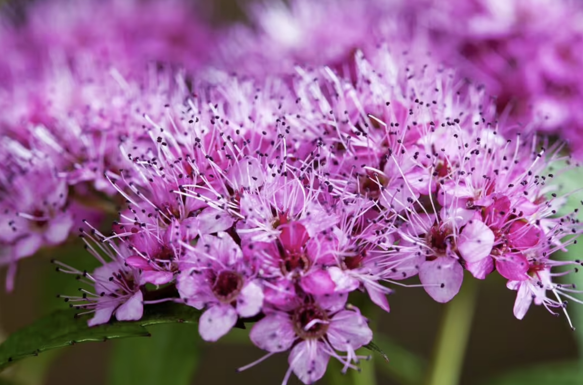 screenshot 2026 02 06 at 211040