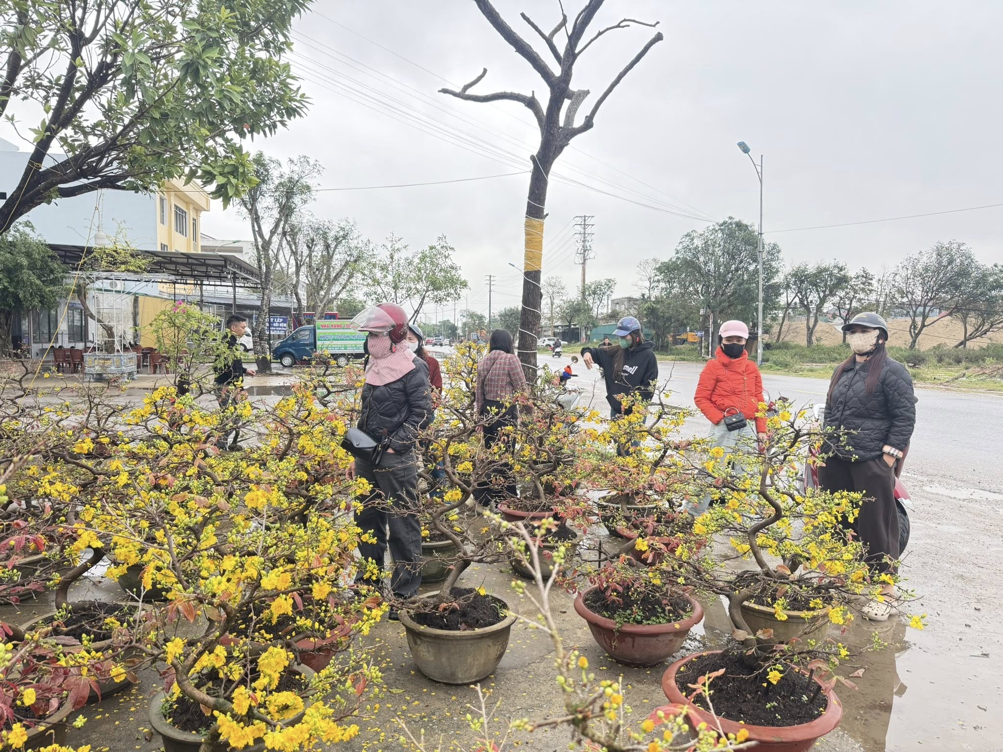 62922898915255383962444946433067191155441398n