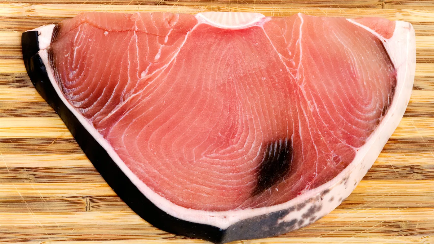 shark fin 31wide bbdf7d537e2e5ffa4041e9ebe46a88cf74f74def