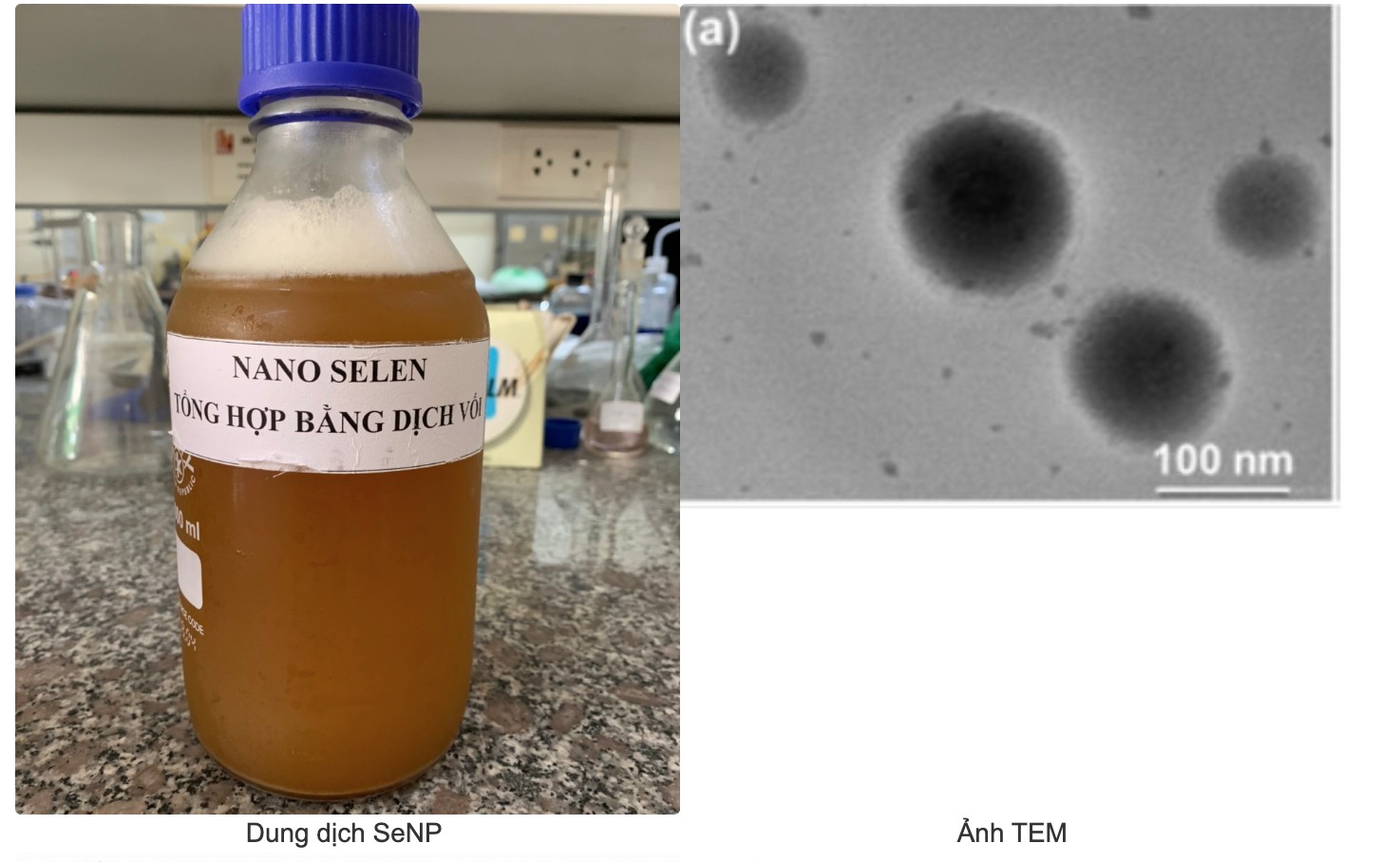 anh chup man hinh 2026 02 25 luc 174501