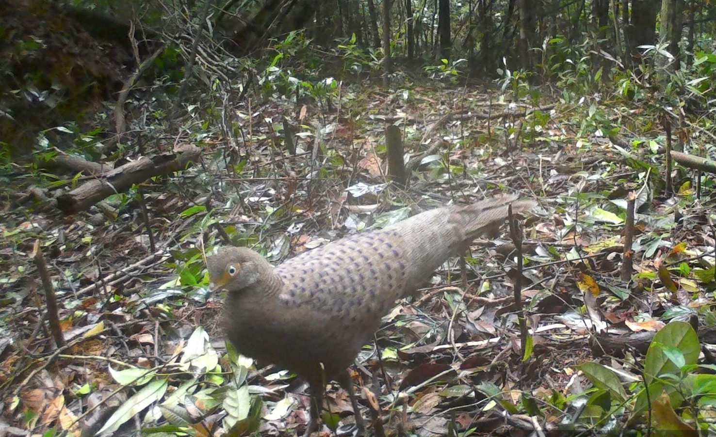 anh chup man hinh 2026 03 02 luc 092417