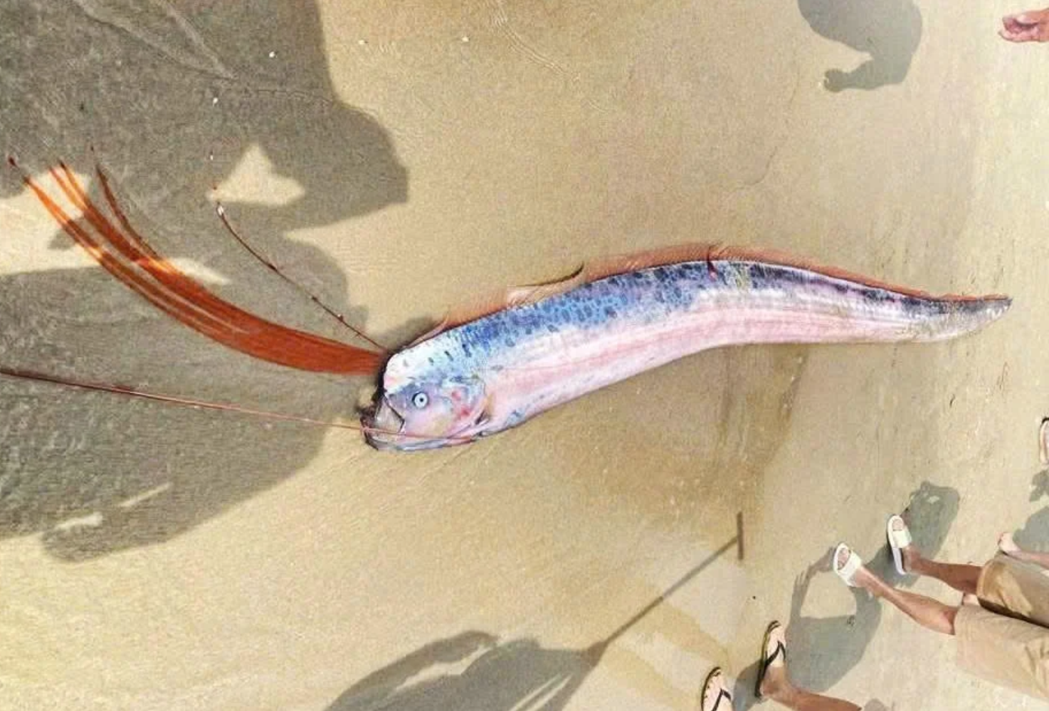 anh chup man hinh 2026 03 04 luc 144818