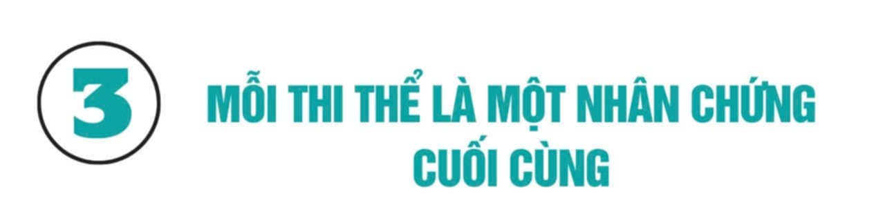 bc66b636 6d9c 41a5 aeb5 4d40978dc27f