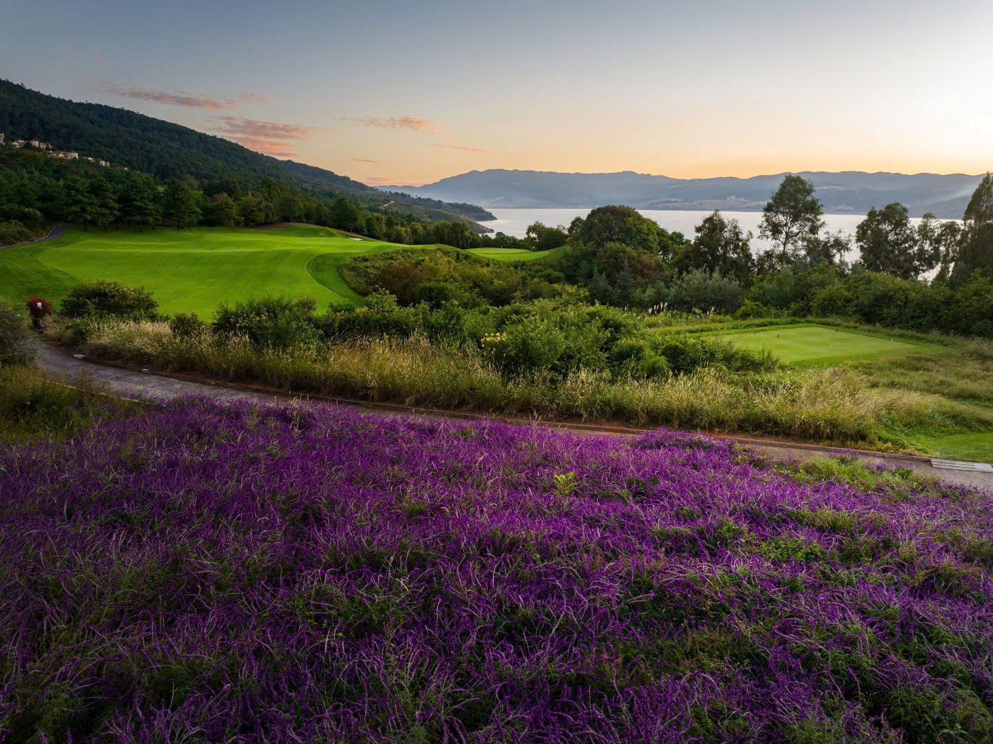 z7614526684009bb0b6874dd9193ab1173627fa562962d