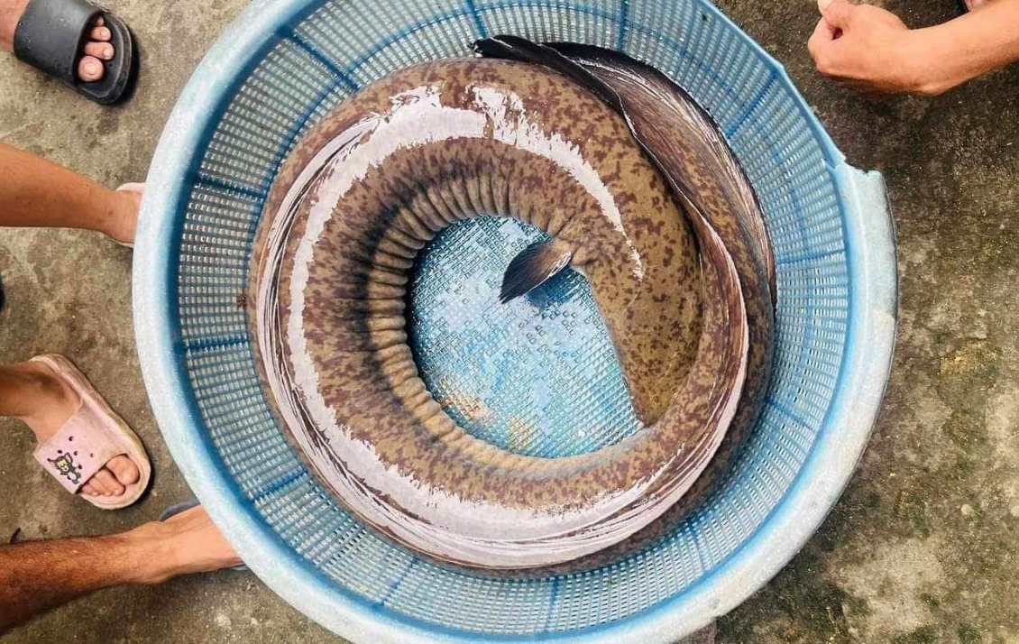 anh chup man hinh 2026 03 12 luc 155100