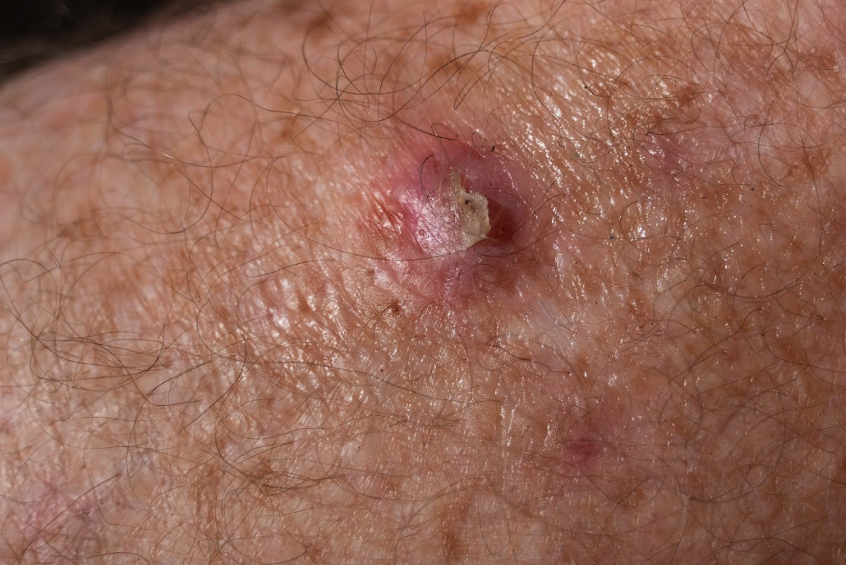 6524526bce64b75ac01024d8screen shot 2023 10 09 at 92008 am