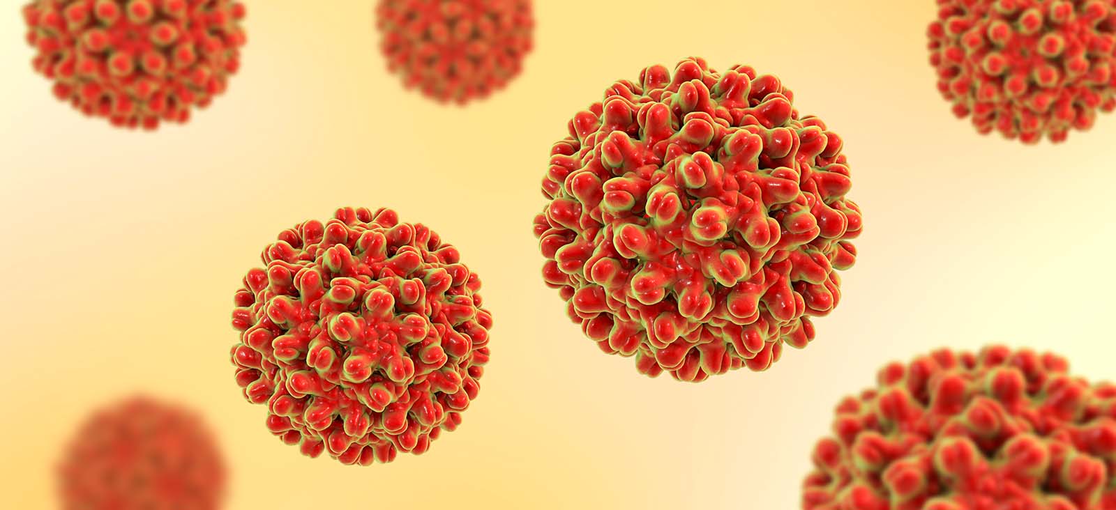 hepatitis b 1600x732