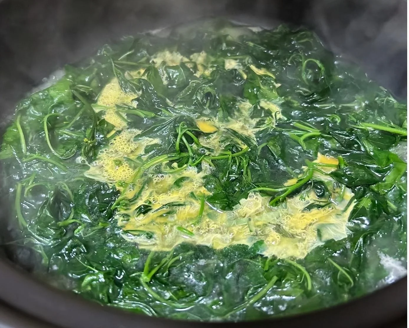 loai rau tam bop 8 17227305356051942911122