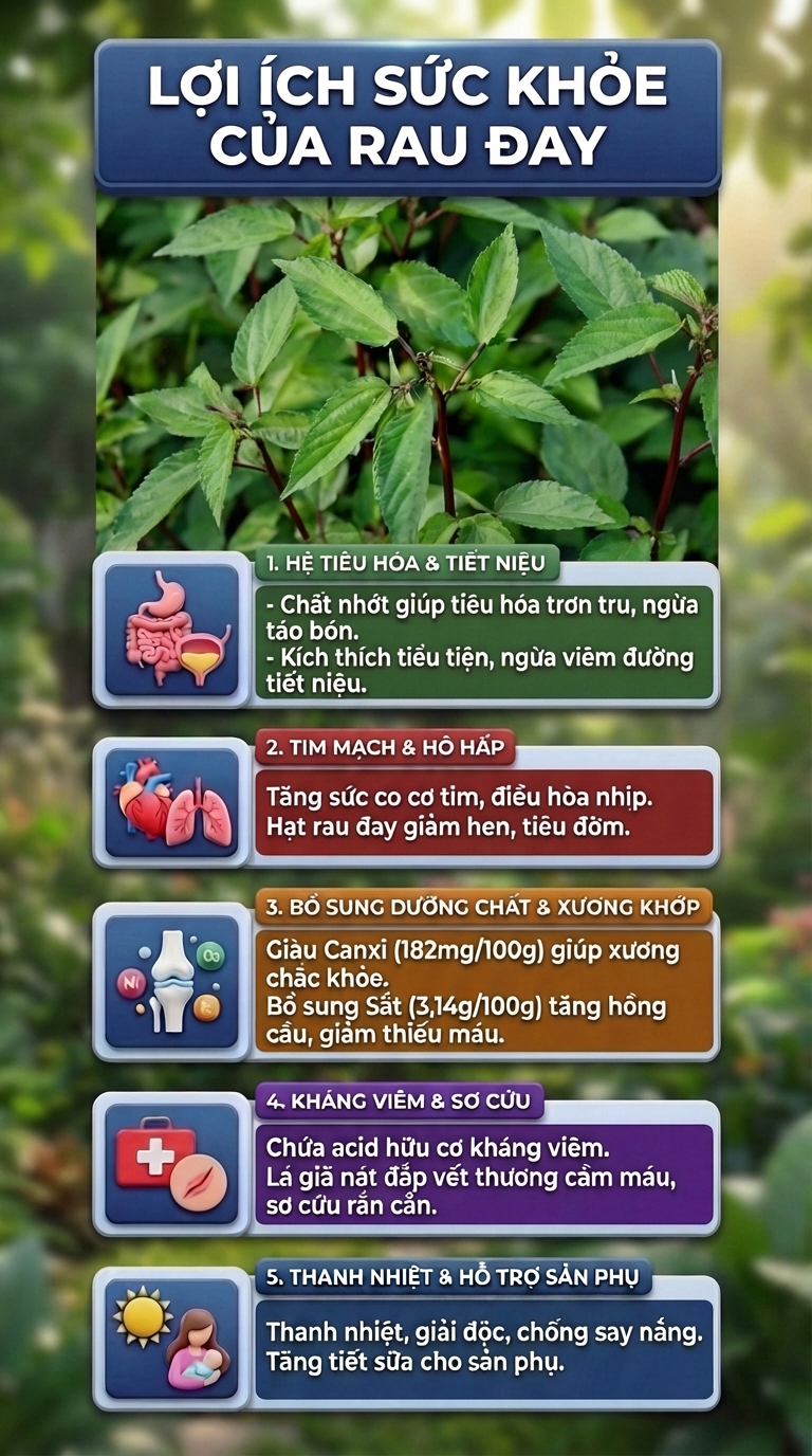 loi ich suc khoe cua rau day