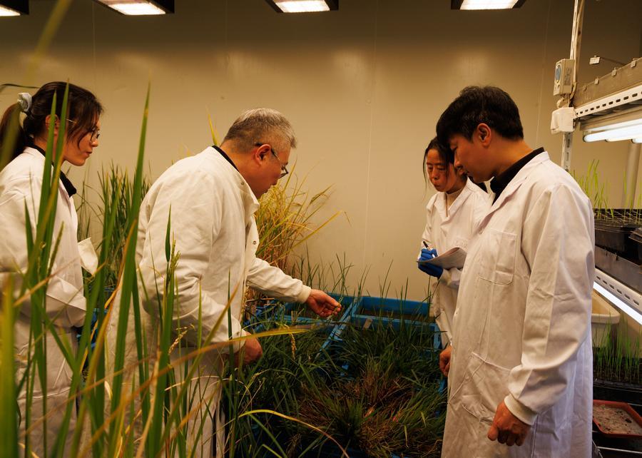 202603208c7f2e86d46743cc8f0b5b2dac33cfaexxjwshe00008220260320cbmfn0a001 0151