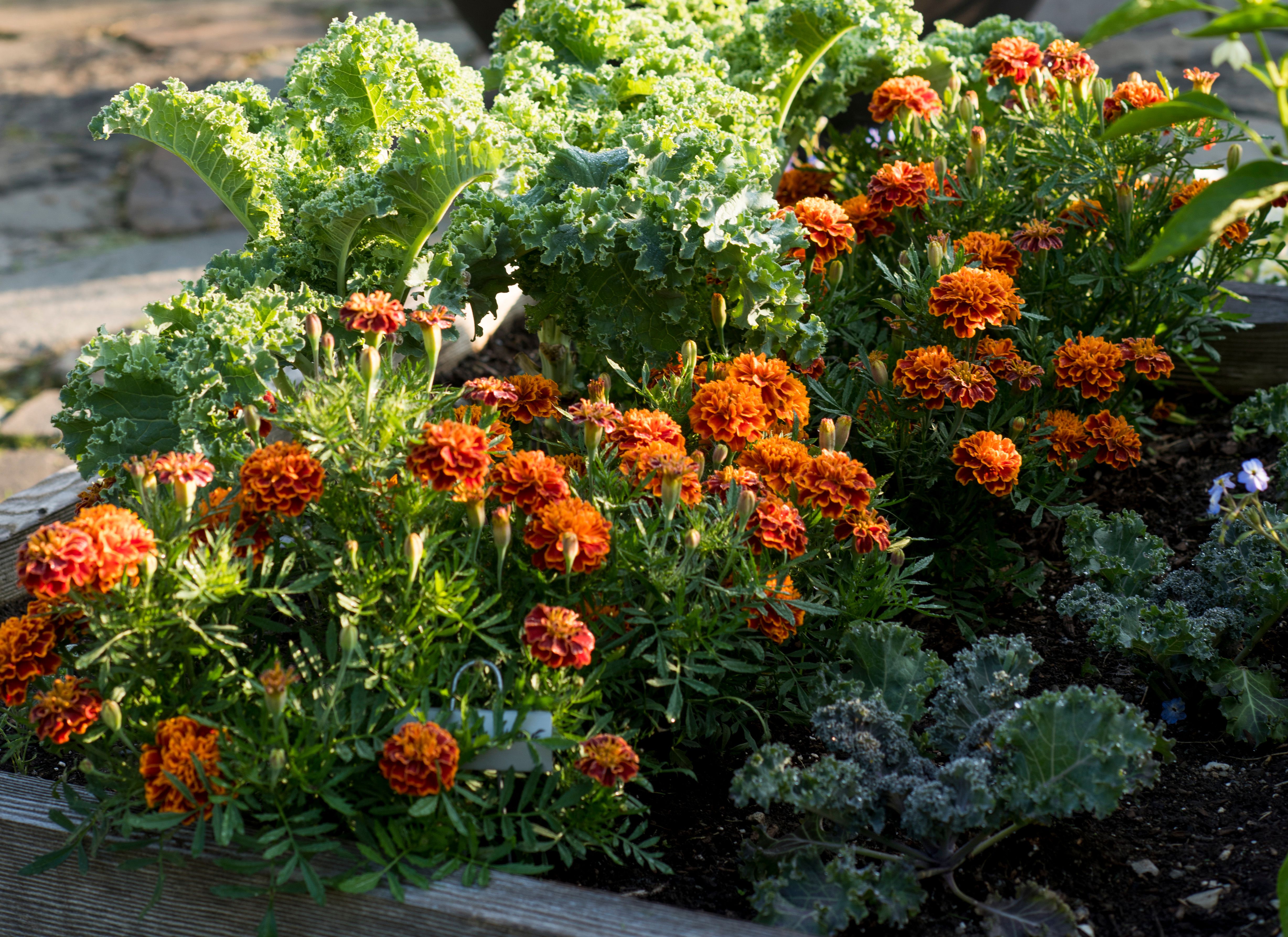 170816 156preview1 f3baaf11874e40a787e17fec527efdfc