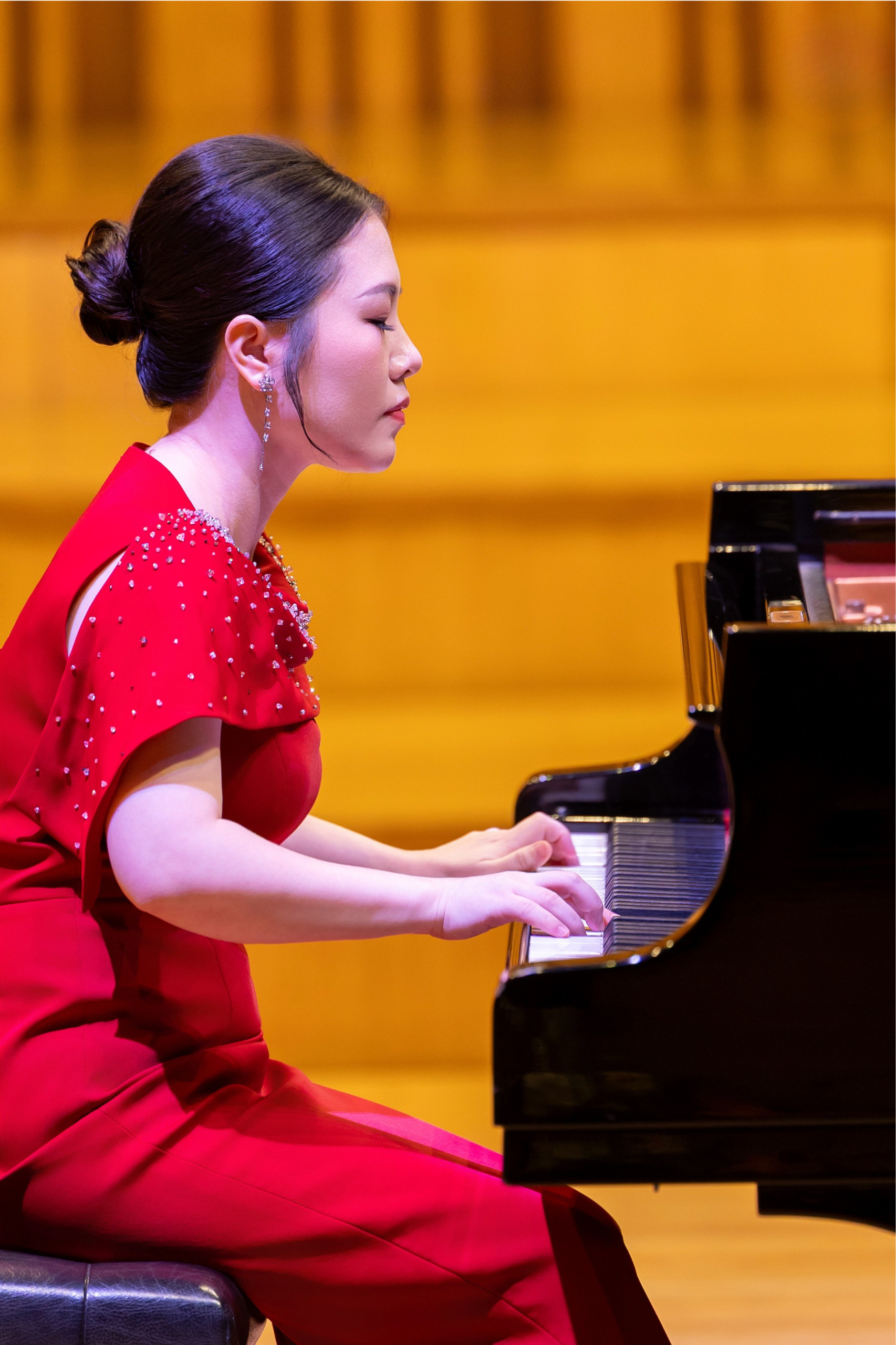 06 nghe si piano nguyen le thuyen ha