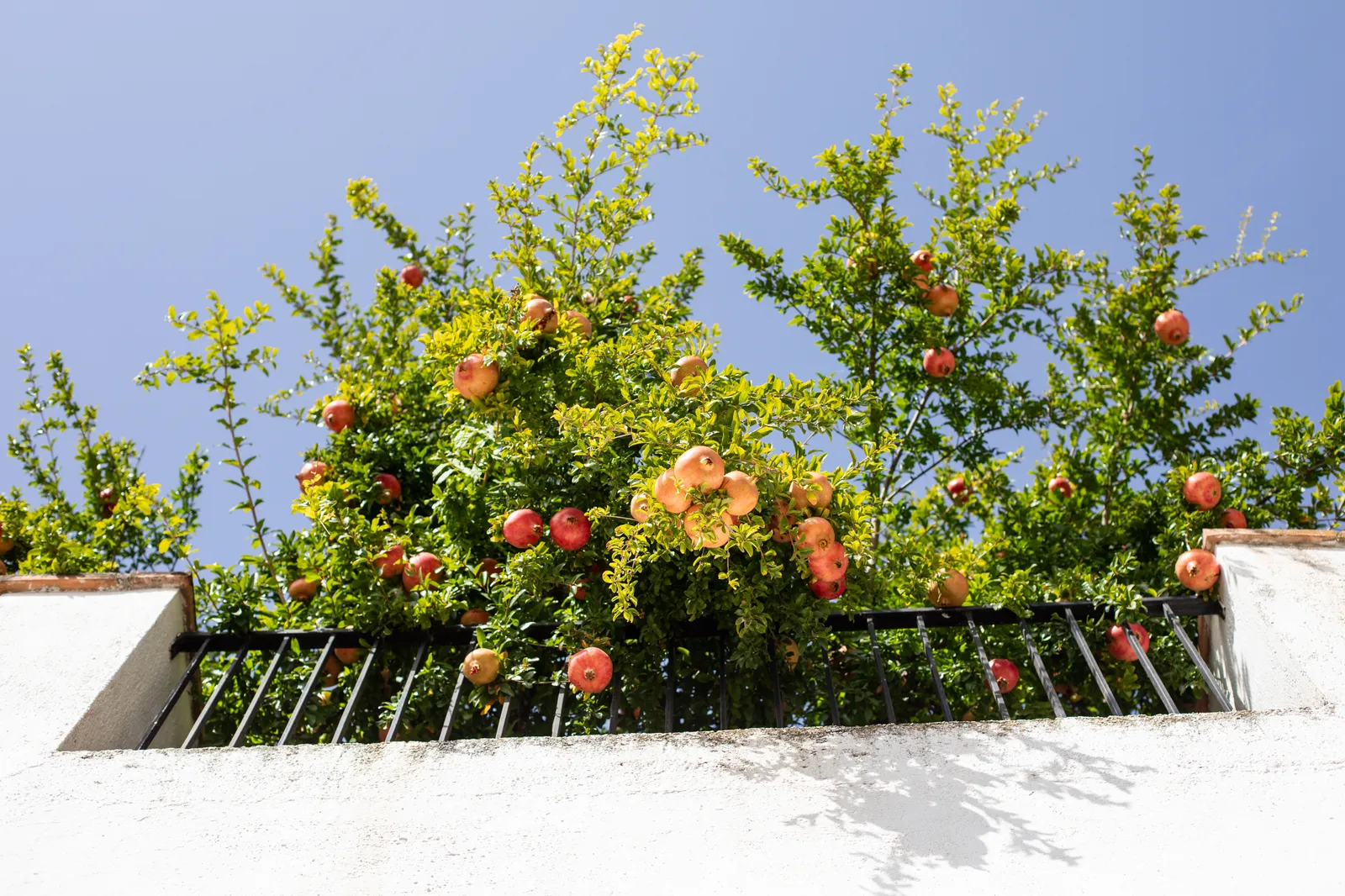 gettyimages 2243943473