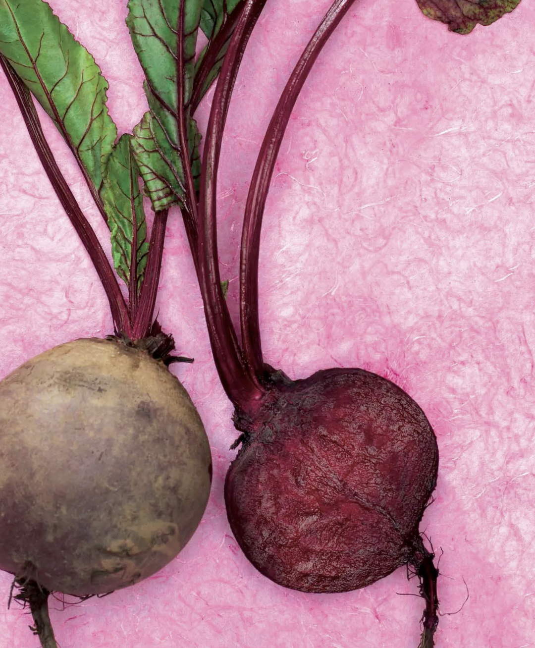 screenshot 2026 04 05 at 104404