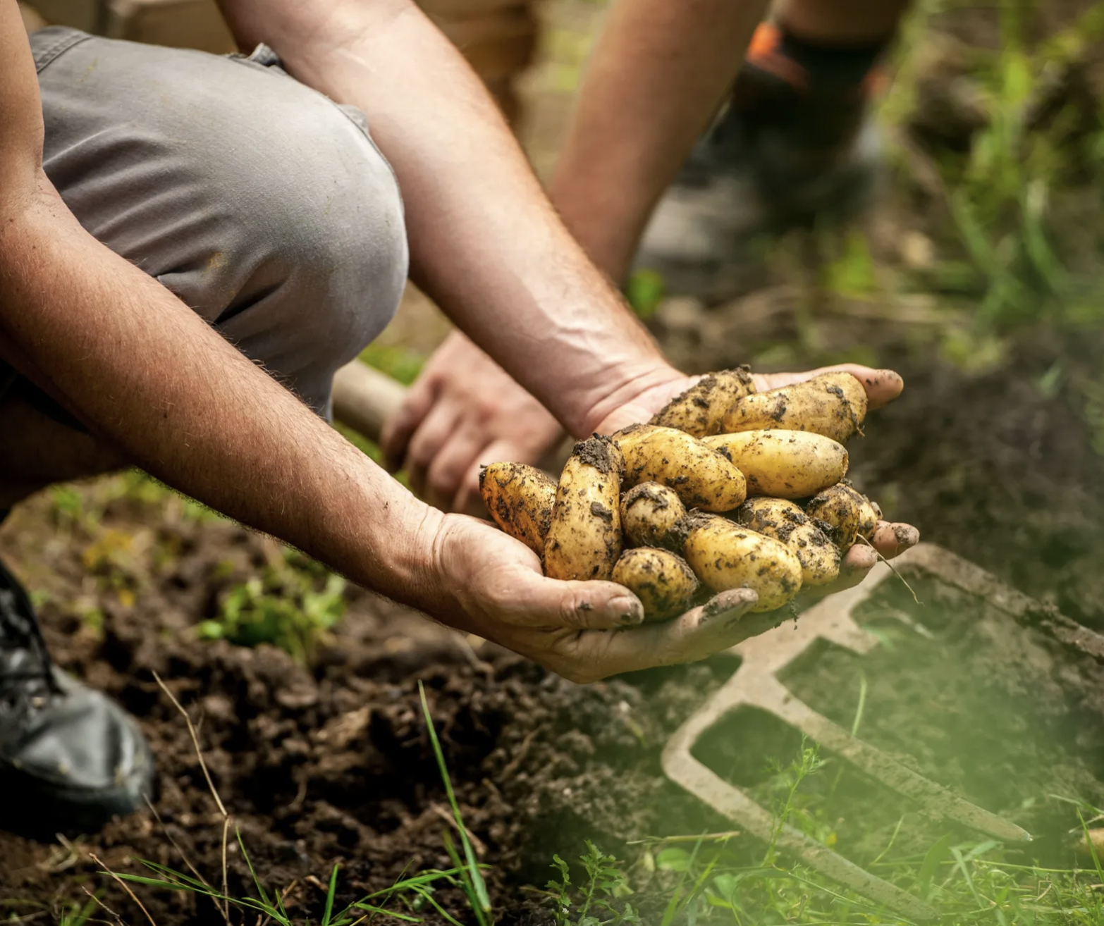 screenshot 2026 04 05 at 104411