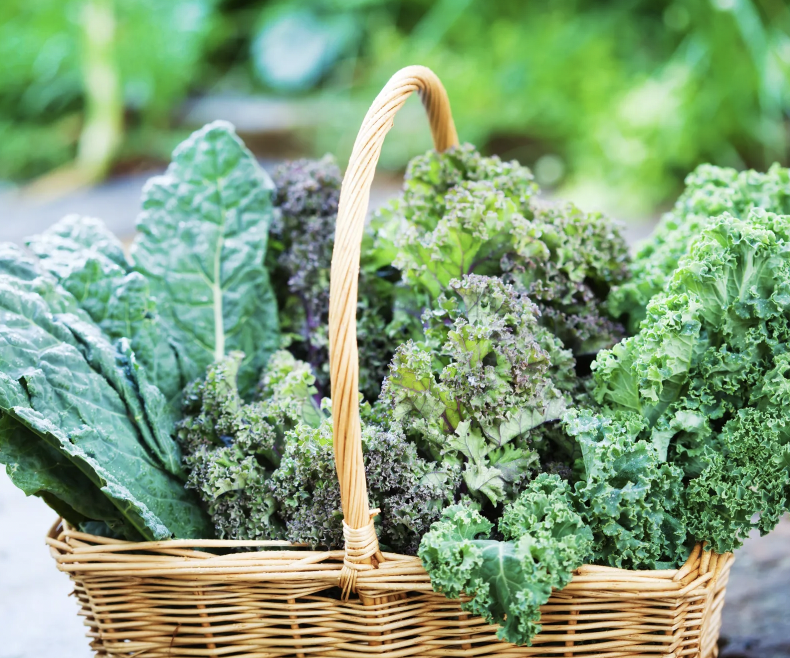 screenshot 2026 04 05 at 104418