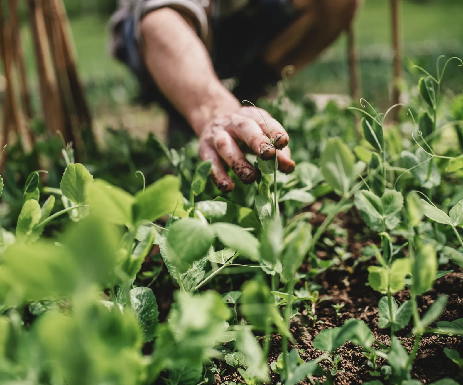 screenshot 2026 04 05 at 104425