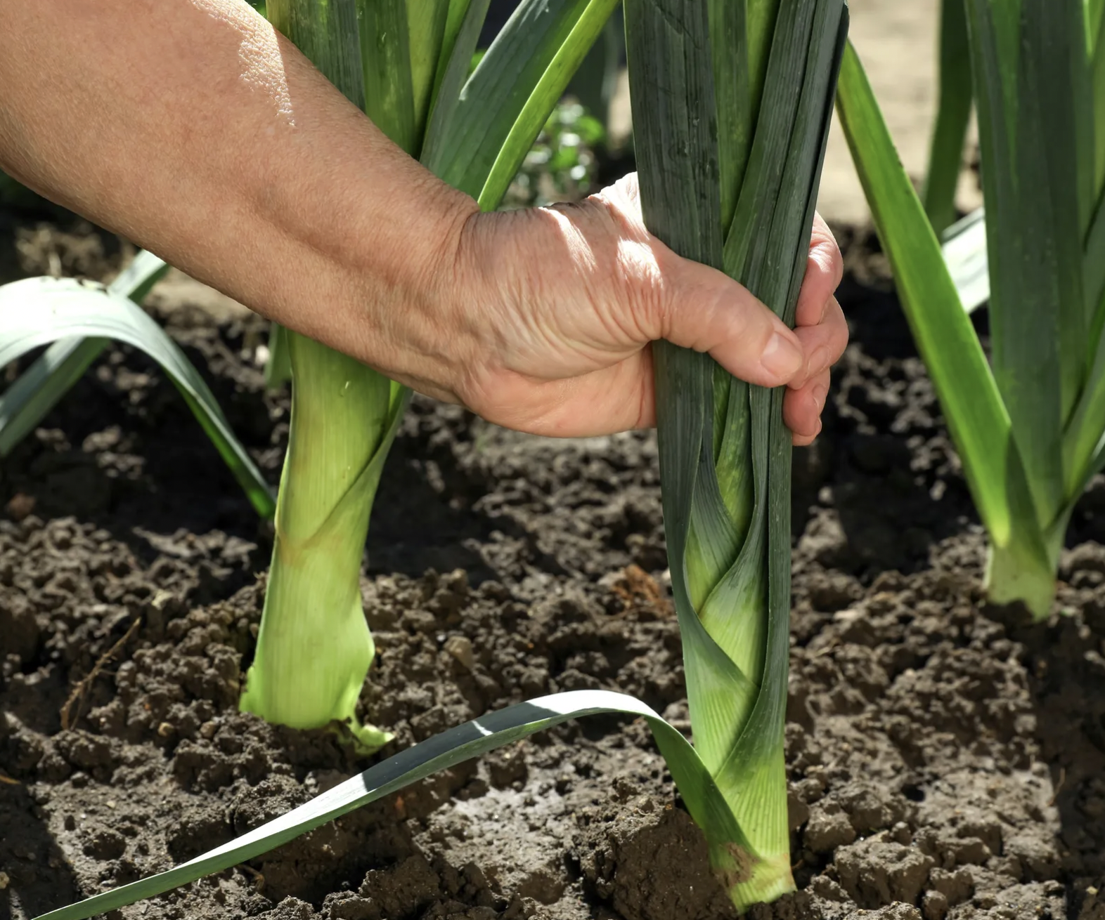 screenshot 2026 04 05 at 104431