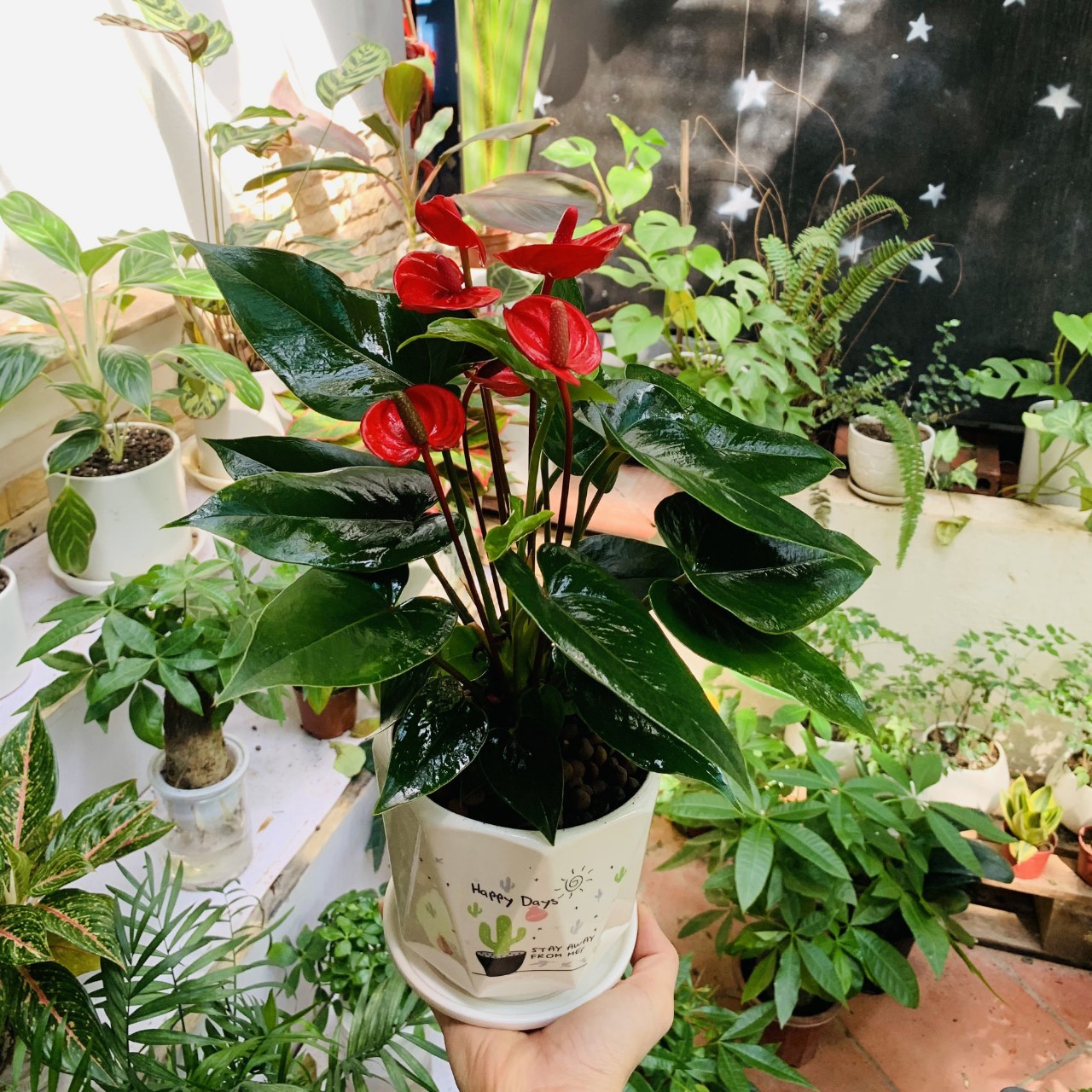 z531045752365479a3b5bb7e2c63e9719356d445b447a3