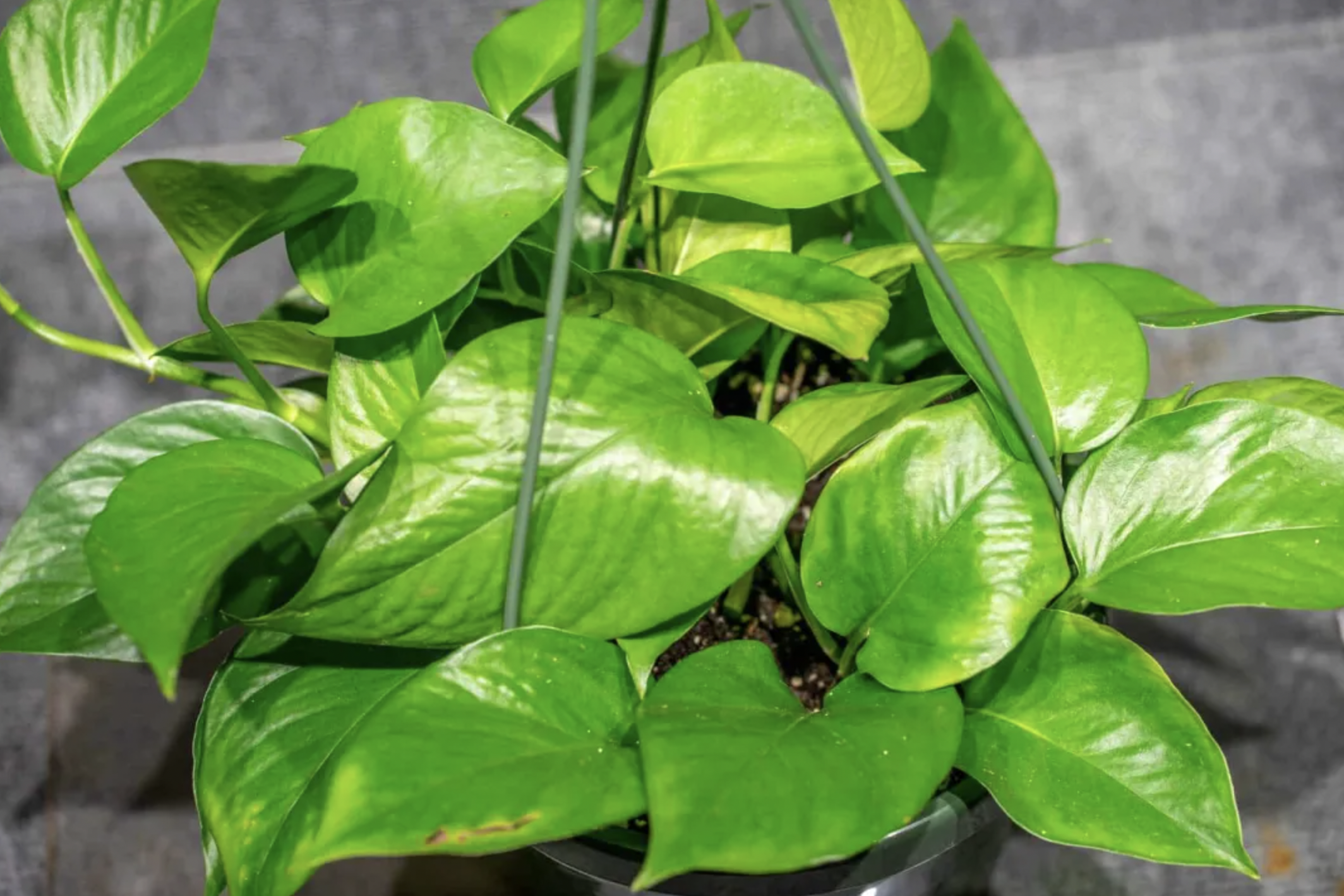 screenshot 2026 04 11 at 144638