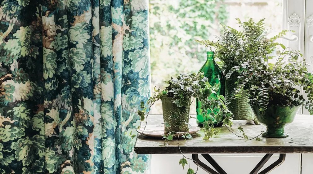 cay trong trong nha 4