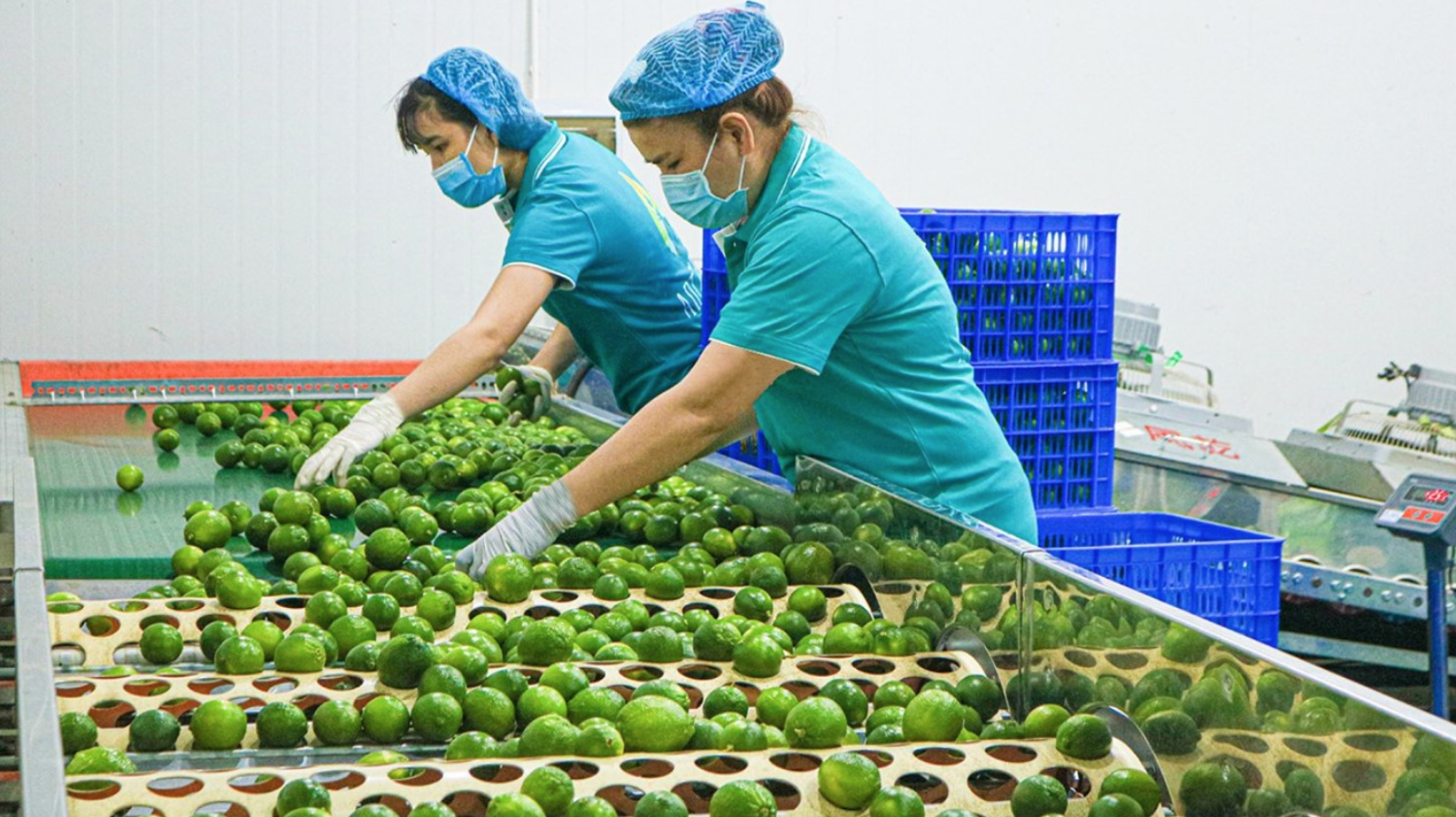 anh chup man hinh 2026 04 17 luc 123601