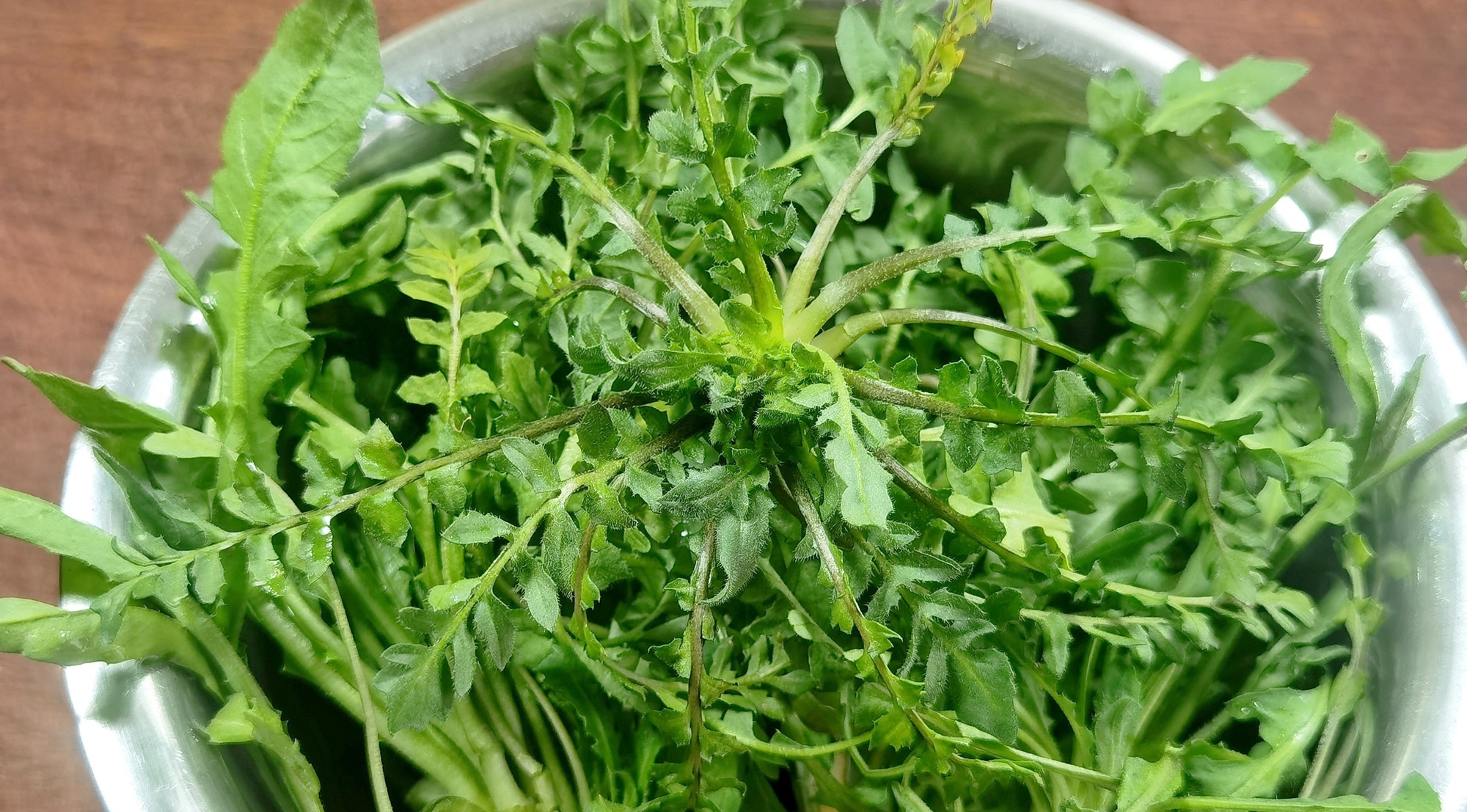 edit 18383bb82fad4948abd9976f9c3ff3ectplv tt origin webgif 1741026246998883939275 1741751995107 1741751995679358088673