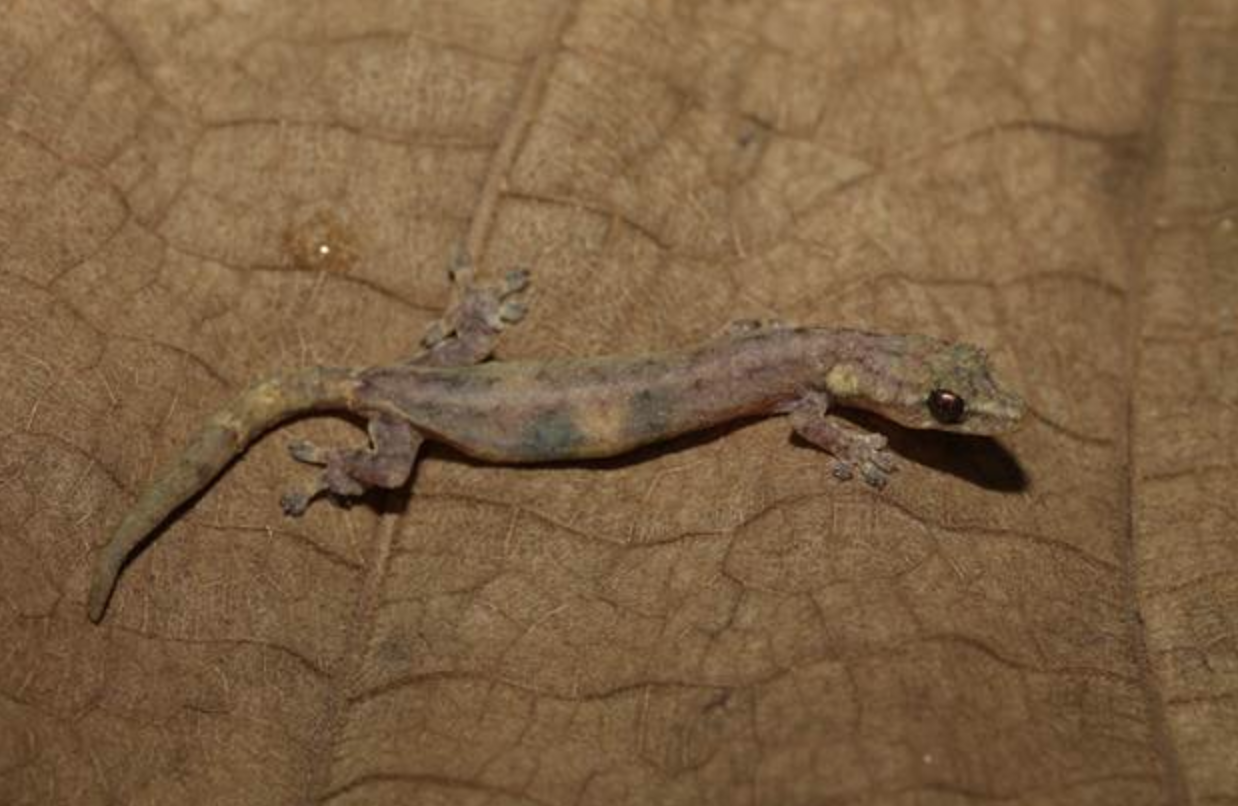 anh chup man hinh 2026 04 20 luc 065236