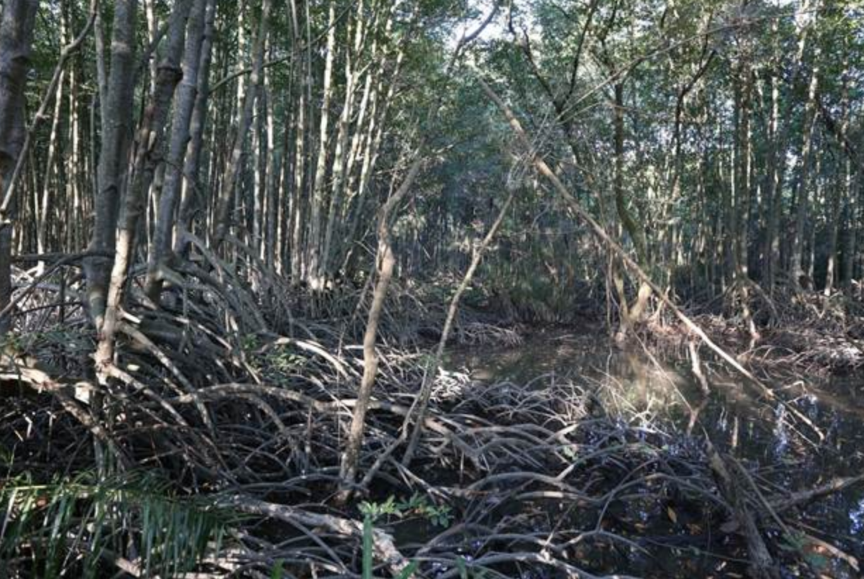 anh chup man hinh 2026 04 20 luc 065244