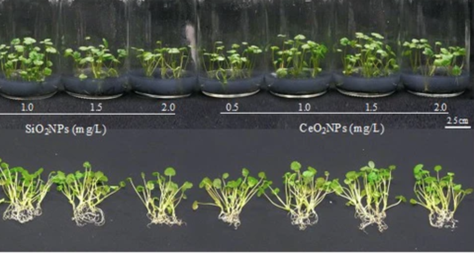 anh chup man hinh 2026 04 21 luc 075345