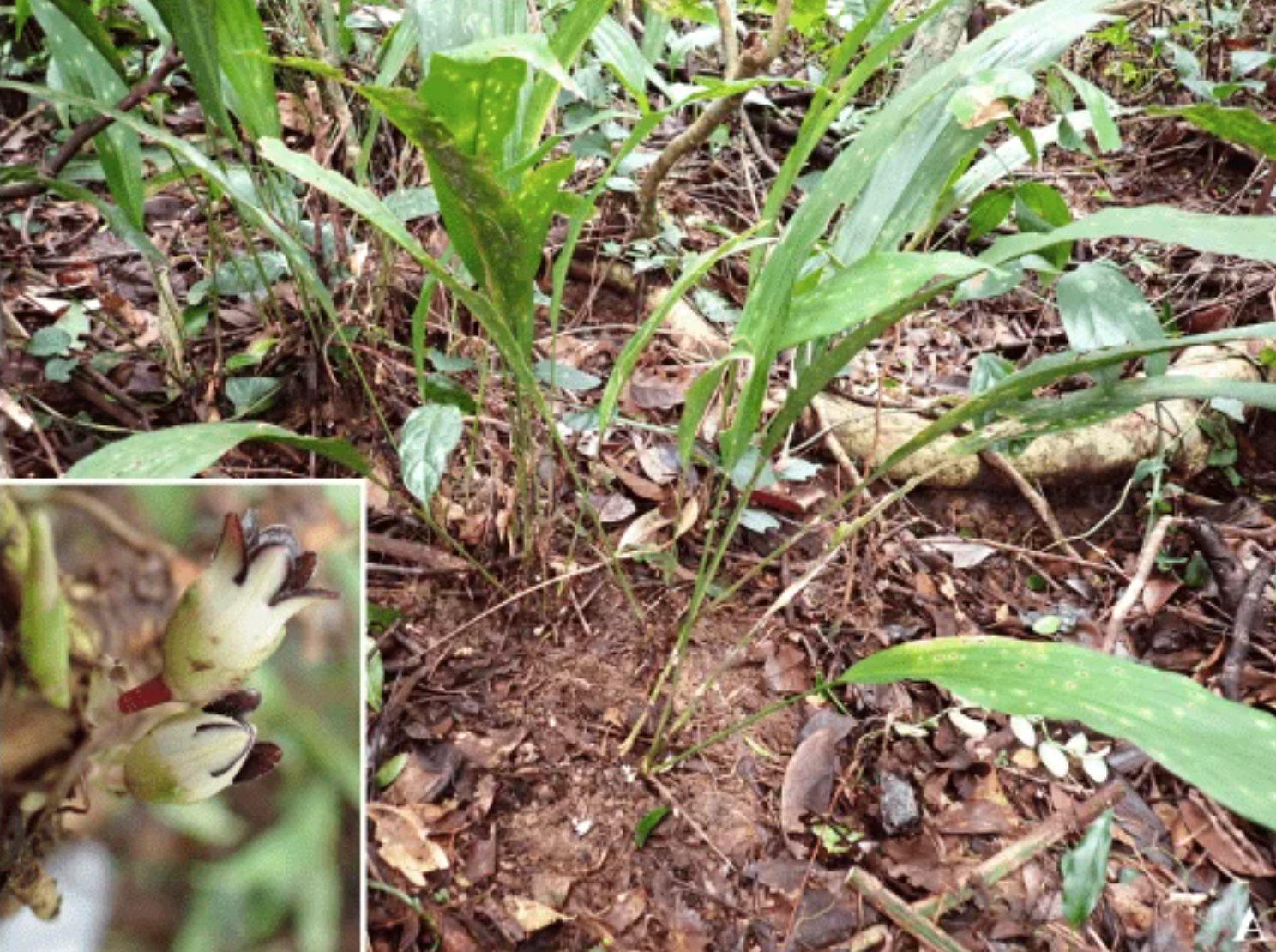 anh chup man hinh 2026 04 22 luc 154439