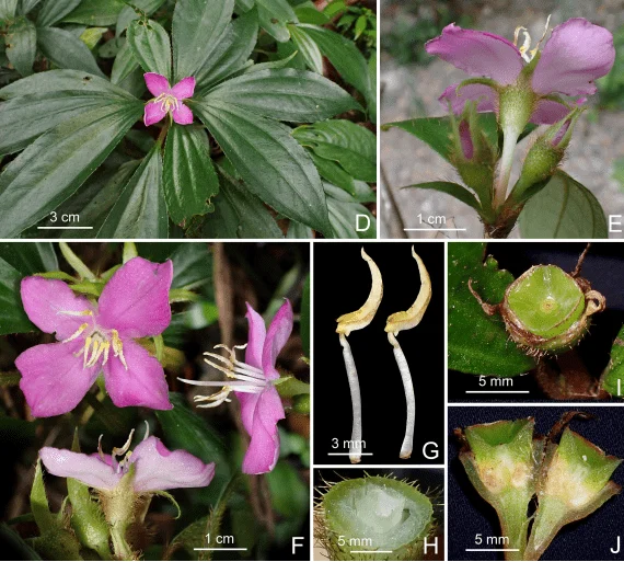 word image 9941 2 1331 1