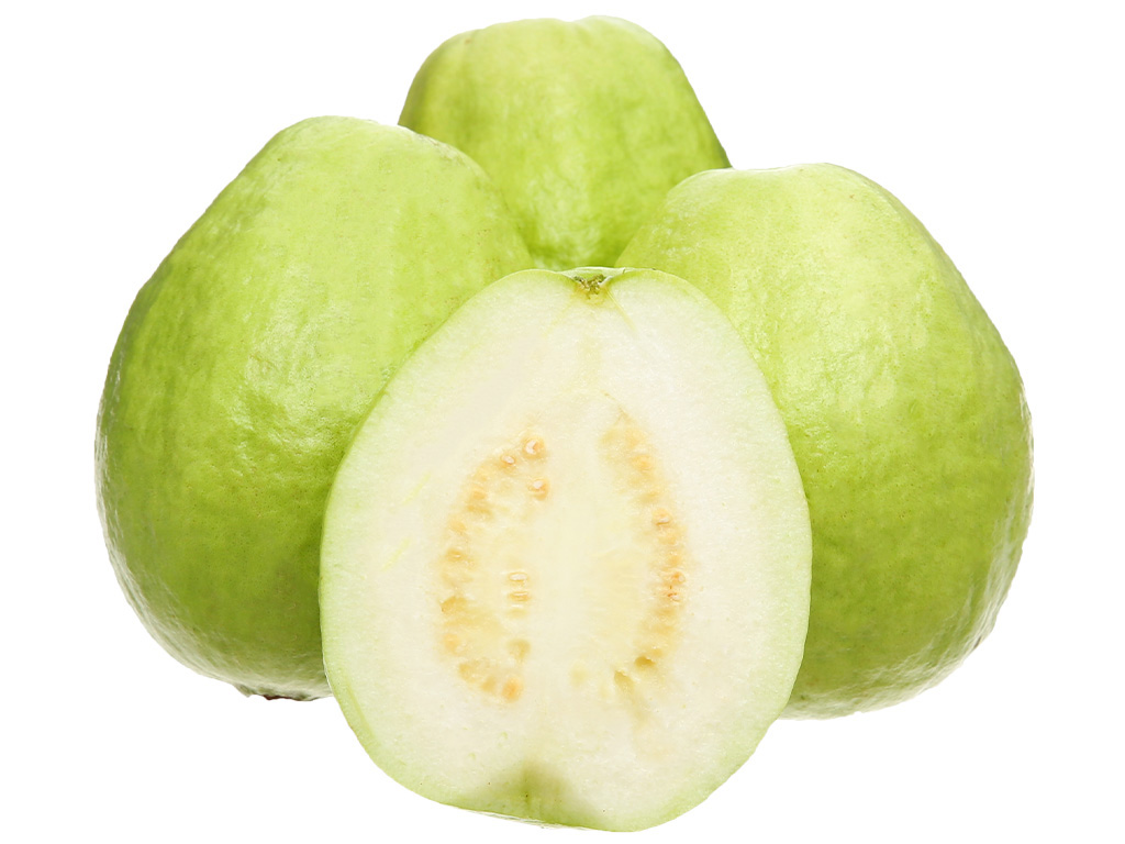 oi dai loan trai tu 220g tro len 202404171044184111