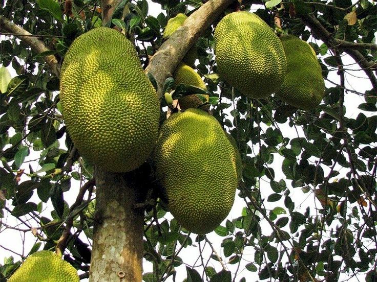 3958922a8c2e9b495f34372abd203c21