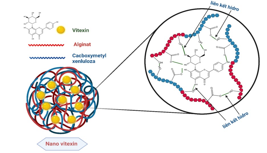 t5 nanovitexin 1
