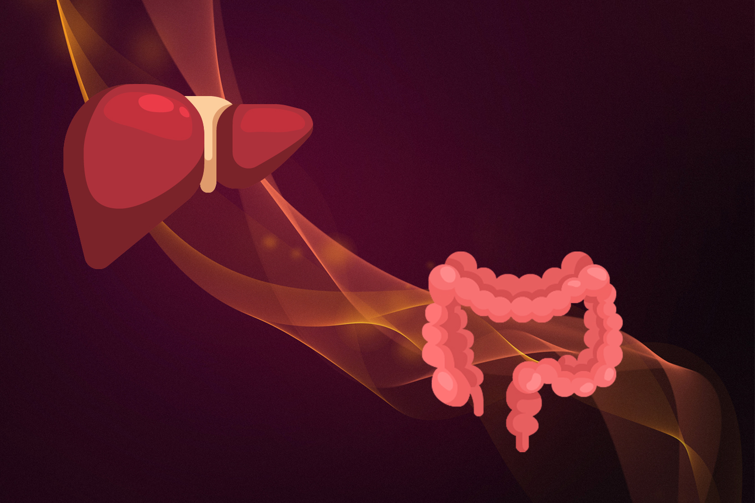 blog gut liver axis copy