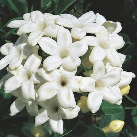 images 12