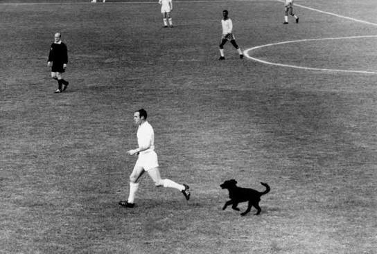 anh brazil 1962