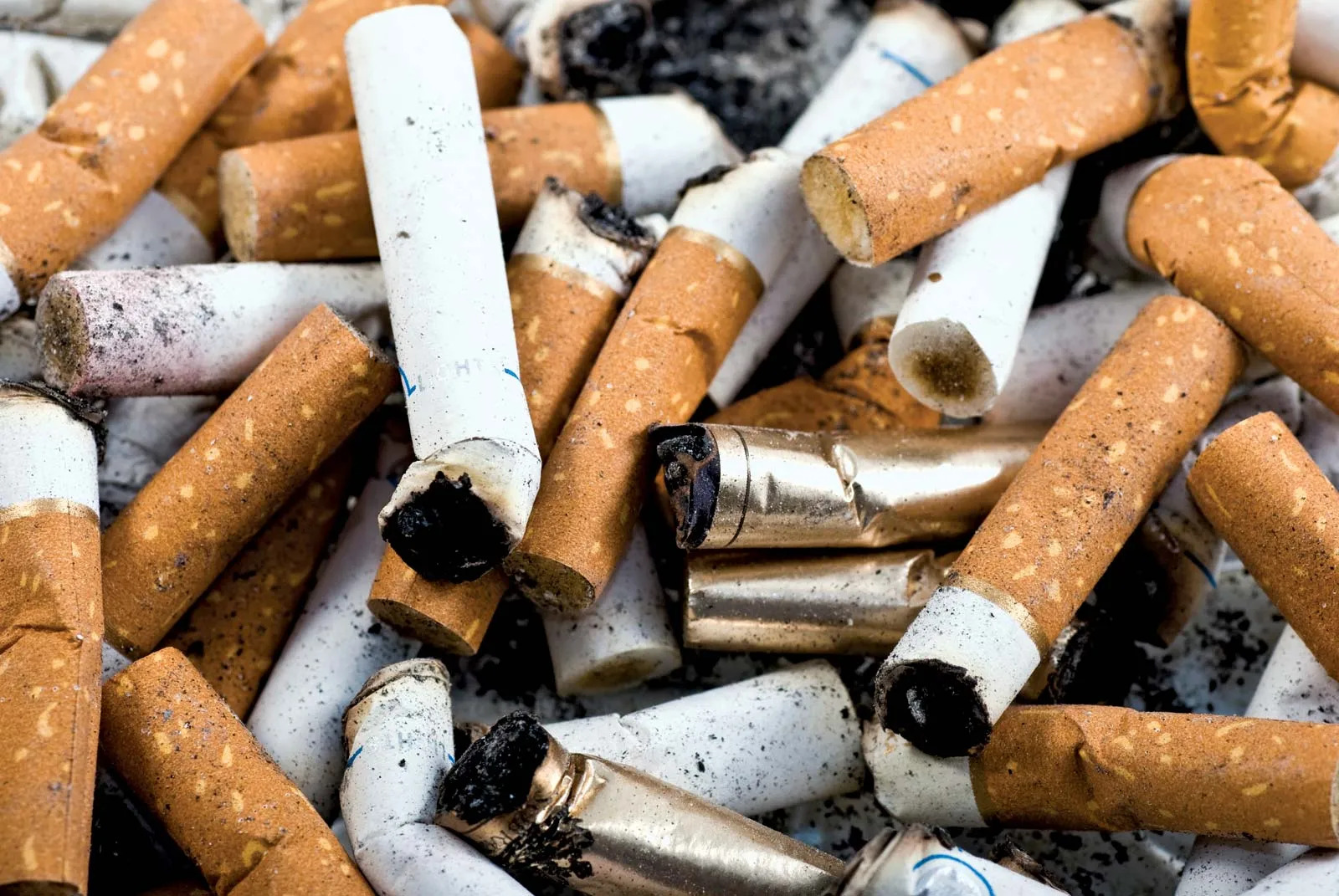 ashtray cigarette butts